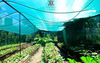Vegetable Greenhouses - Kenya Kesho School for Girls
