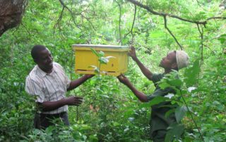 Fees in a bottle - Kenya Kesho Bee Hive program